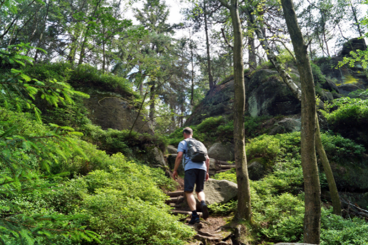 A man hiking in a forest. What to pack for a motorhome holiday